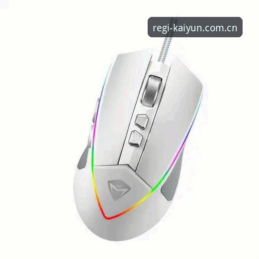 kaiyun体育平台网页端评测实用指南：数据投注功能的全维度拆解